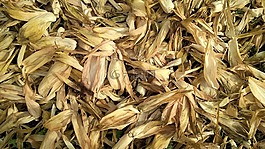 干,樁,紋理