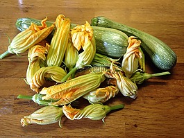 夏南瓜,西葫蘆花,蔬菜