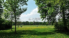 慕尼黑,英语花园,公园