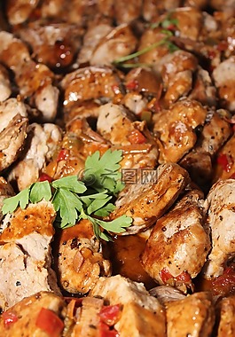 猪肉纪念章,热自助,肉
