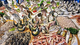 魚,海,小船