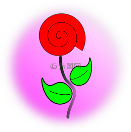 生物學(xué),花,性質(zhì)