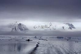 浮冰,南極洲,水