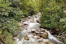 奧爾索馬爾索,卡拉布里亞,洪流