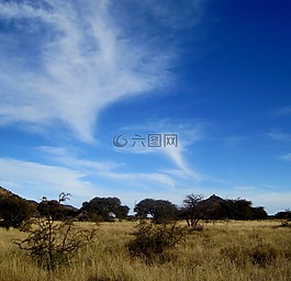 大藍(lán)天空,云,whispy