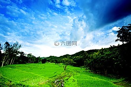 泰國,景觀,天空