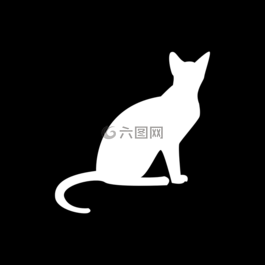 貓,白,黑色