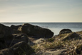 海,荷蘭,水