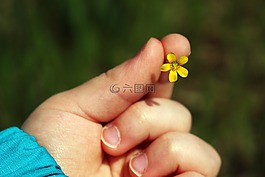 小花,bimba,manina