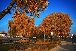 s?ubice,公園,天空