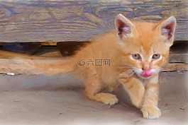 繪畫,油畫,照片油畫