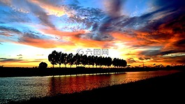 日落,樹木,暮光之城