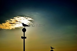 天空,海,海洋