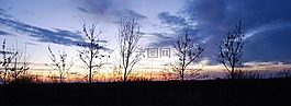 日落,顏色,云
