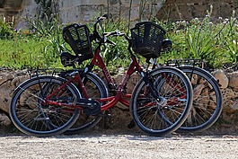 自行車(chē),推車(chē),兩