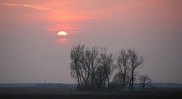 日落,顏色,云