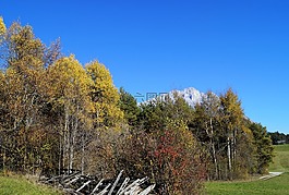 秋季,藍藍的天空,樹