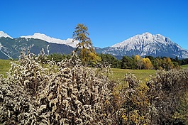 秋季,藍藍的天空,樹