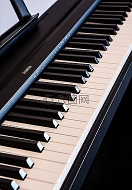 鋼琴,鍵盤,音樂