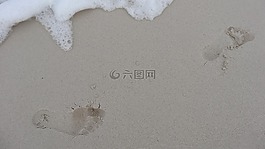 海灘,海岸,沙