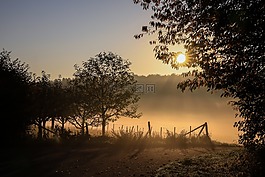 秋季景觀,霧風景,燈