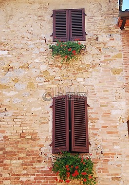 windows,鮮花,磚