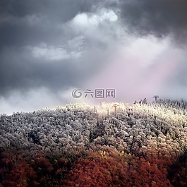 秋季,冬天,弗羅斯特