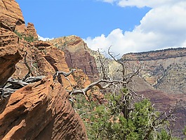 徒步旅行,猶他州,景區(qū)