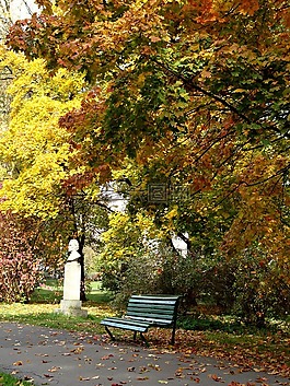 公園,秋,葉子