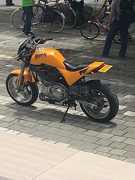 自行車,在中,麥德林
