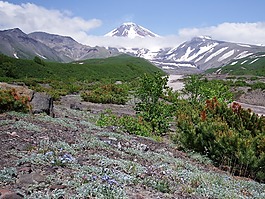 火山,腳,鮮花