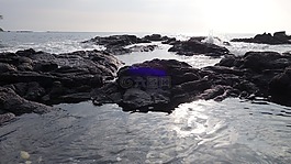 海洋,海灘,海