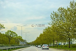 路,uzunyol,樹