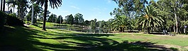 池,公園,草