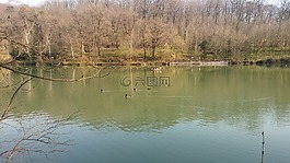 湖,綠水,性質