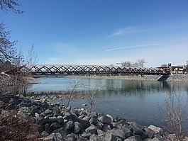 卡爾加里,和平橋,橋