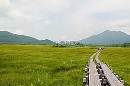 尾瀨,尾瀨路,木路