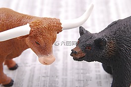 公牛,熊,股票