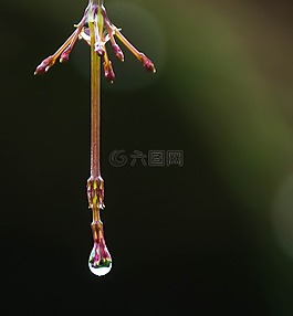 戶外活動,性質(zhì),野生動物