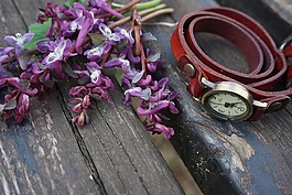 釀酒,紅色,手表