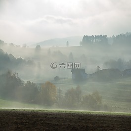 霧,景觀,希爾
