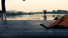 小清新,落叶,唯美