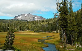景區(qū),景觀,秋