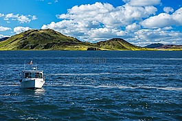 船,海,海景觀