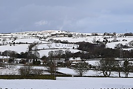 冬天,雪,農(nóng)村
