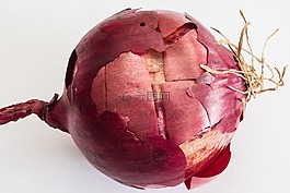廚房洋蔥,洋蔥,bolle