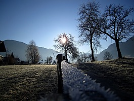 寒冬,白,雪