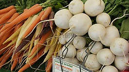 甜菜,生物,蔬菜