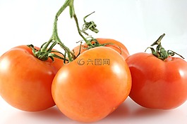 tomat,蔬菜,紅色