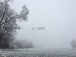 雪,冬天風(fēng)景,樹(shù)磨砂